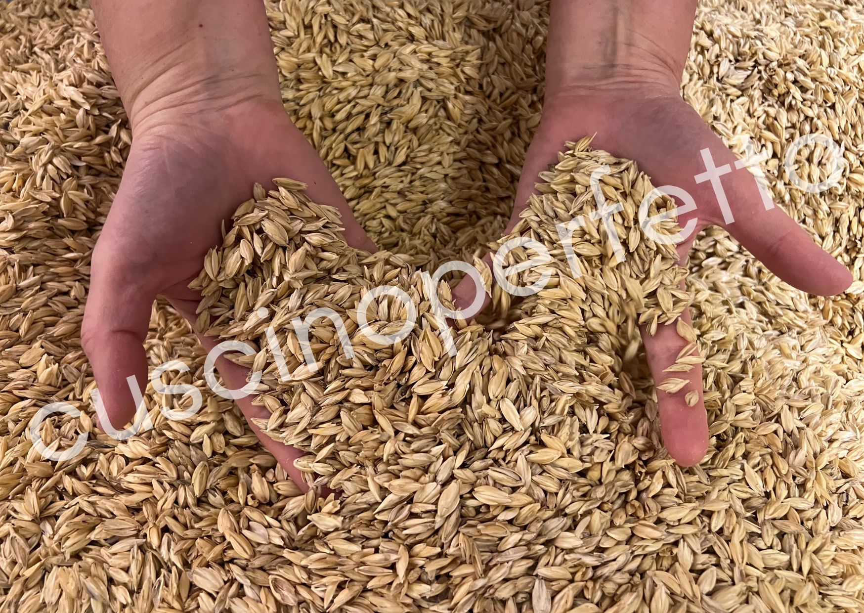 pula di farro bio Cuscino Perfetto